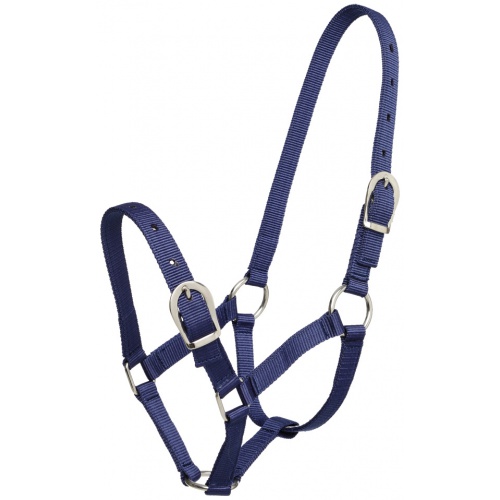 544922 small pony halter